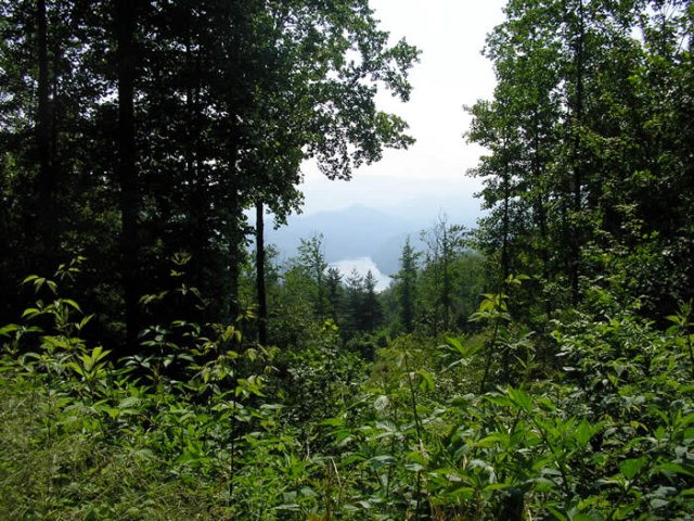 Other - Fontana Trace Drive lot: 38, Almond, NC