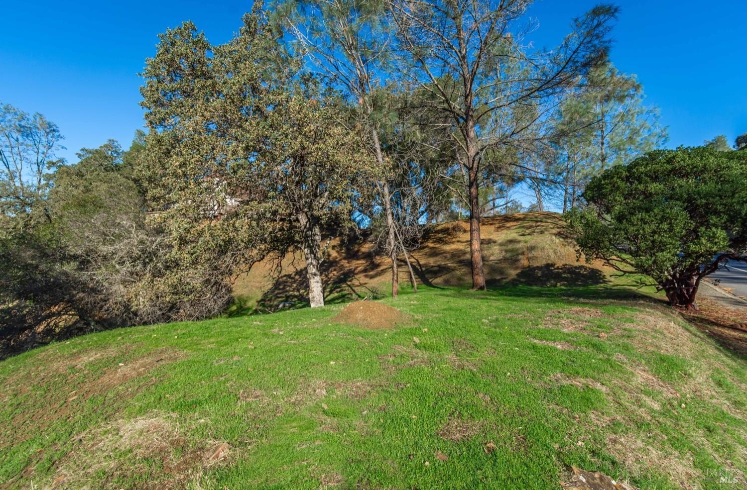 Other - 1155 Steele Canyon Road, Napa, CA