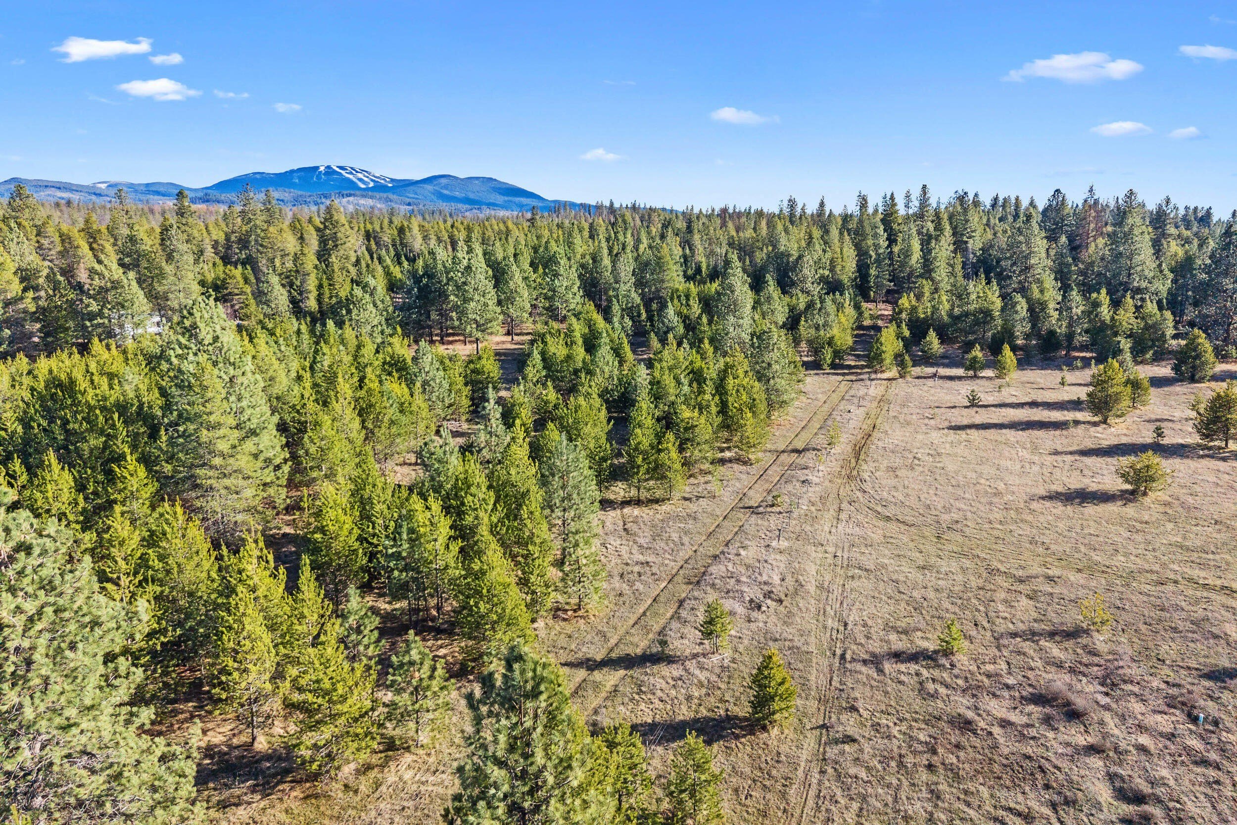 Other - 12818 BRIDGES RD, ELK, WA