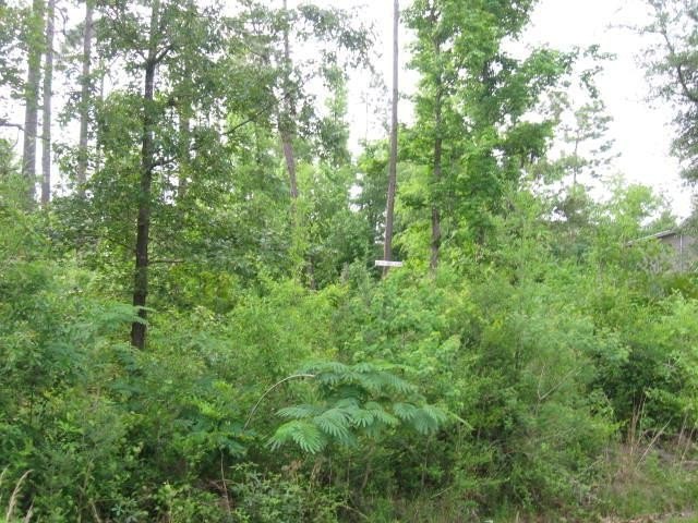 Other - 0 Glenwood Dr Lot 793, Carriere, MS