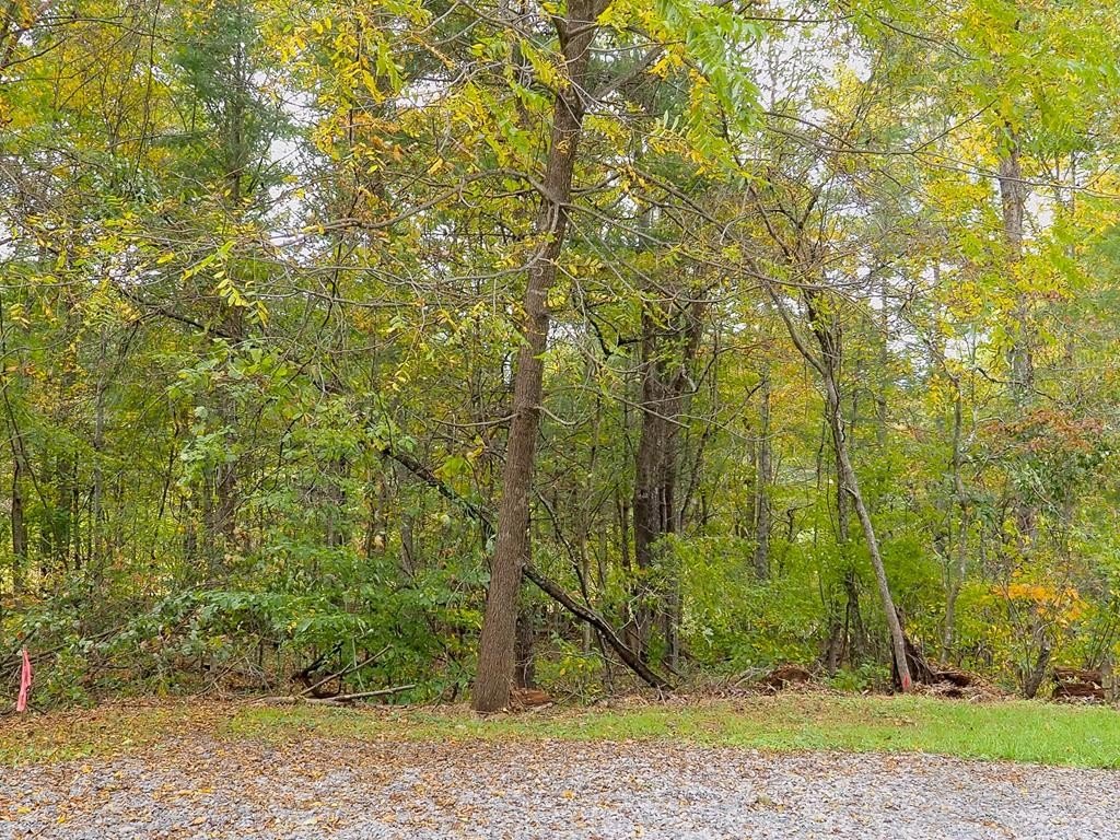 Other - Fairlake Ln lot: 100, Laurel Fork, VA