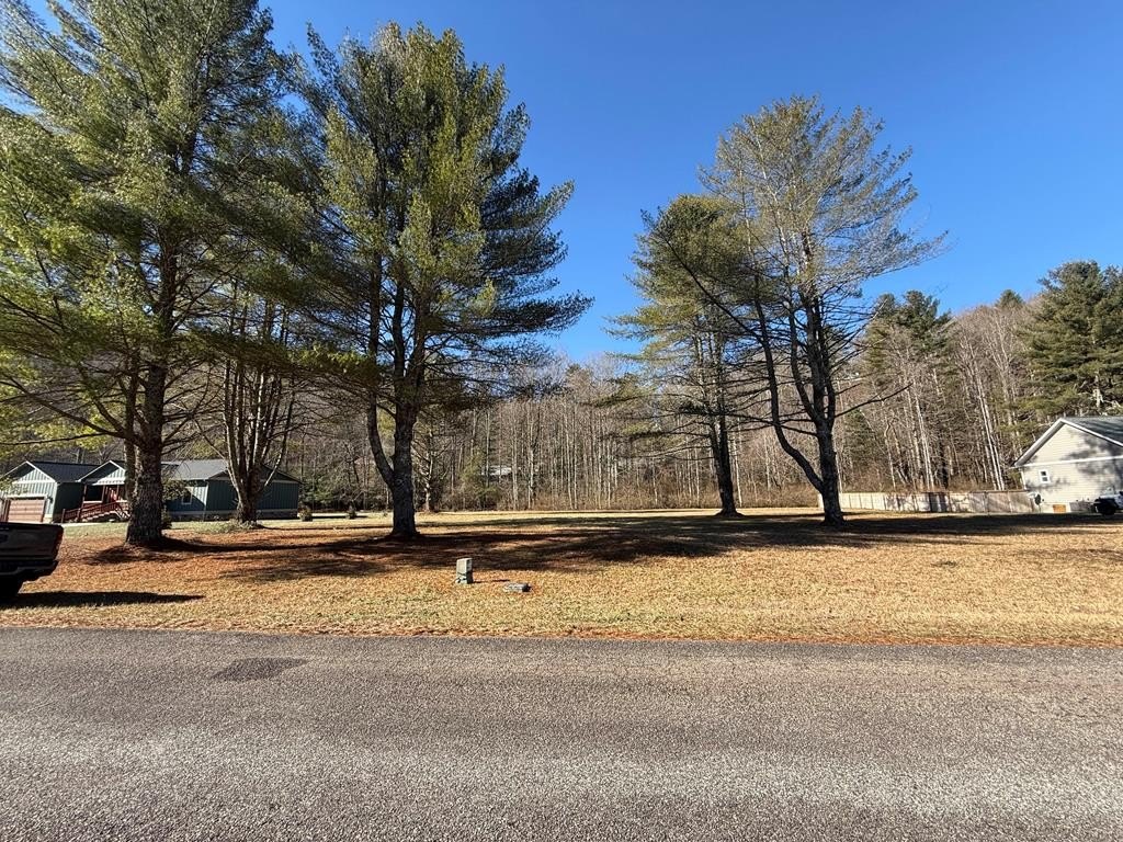 Other - Lot 77 Big Pine Drive, Hiawassee, GA