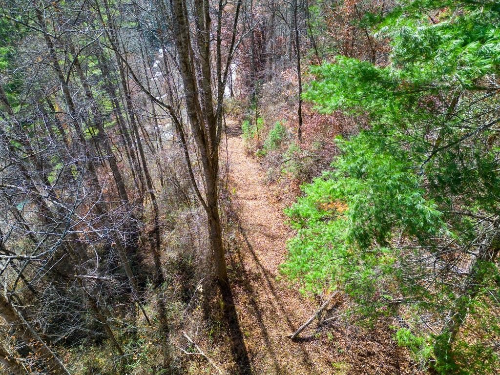 Other - 2611 Wayehutta Rd, Cullowhee, NC