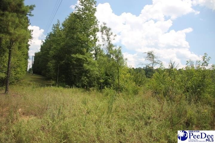 Other - TBD Lot 2 Sweeney Rd, Chesterfield, SC