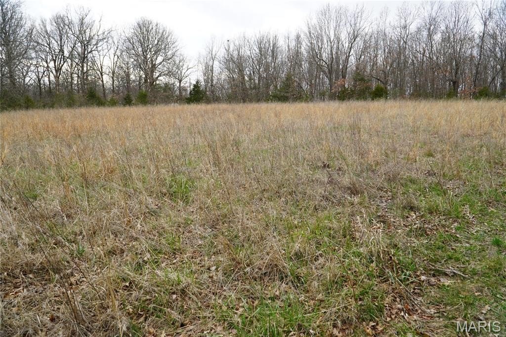 Other - 18143 Oasis Drive, Phillipsburg, MO